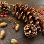 10月の開運イベント｜運気を味方につける過ごし方と習慣