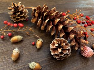 10月の開運イベント｜運気を味方につける過ごし方と習慣