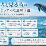 イルカを見る時のスピリチュアルな意味7選｜何度も見る・群れ・ジャンプの意味とは？