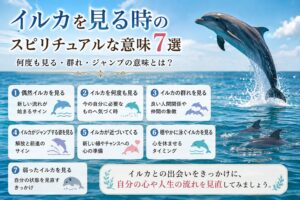 イルカを見る時のスピリチュアルな意味7選｜何度も見る・群れ・ジャンプの意味とは？