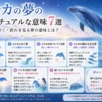 イルカの夢のスピリチュアルな意味7選｜泳ぐ・近づく・群れを見る夢の意味とは？