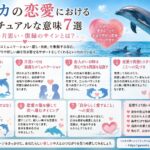 イルカの恋愛におけるスピリチュアルな意味7選｜出会い・片思い・復縁のサインとは？