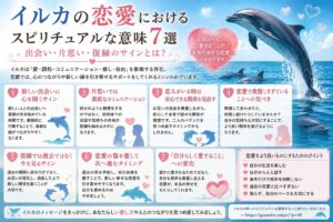 イルカの恋愛におけるスピリチュアルな意味7選｜出会い・片思い・復縁のサインとは？