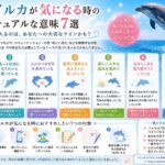 なぜかイルカが気になる時のスピリチュアルな意味7選｜何度も目に入る理由とは？