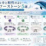 イルカと相性のよいパワーストーン5選｜愛・癒し・自由を象徴する天然石とは？